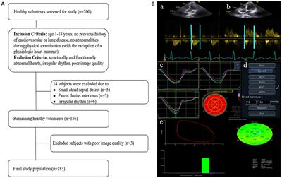 Reference Values of Noninvasive Myocardial Work Indices Measured by Echocardiography in Healthy Children